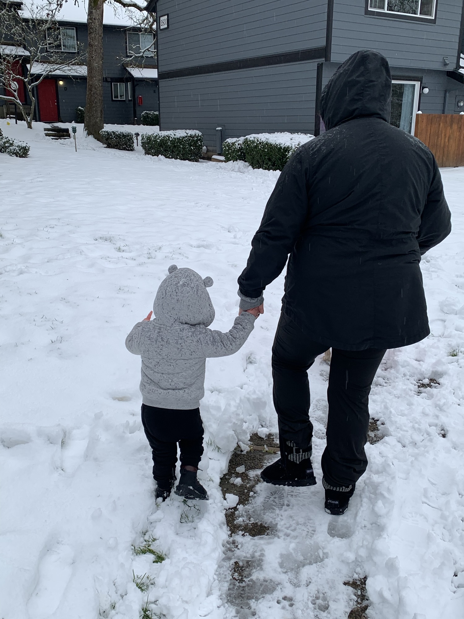 A Winter Walk to Remember: Snowy Adventures with Our Toddler and Pup